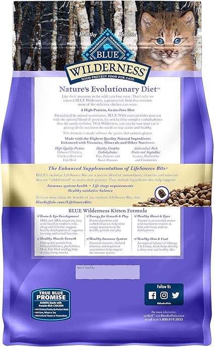 blue wilderness wet kitten food