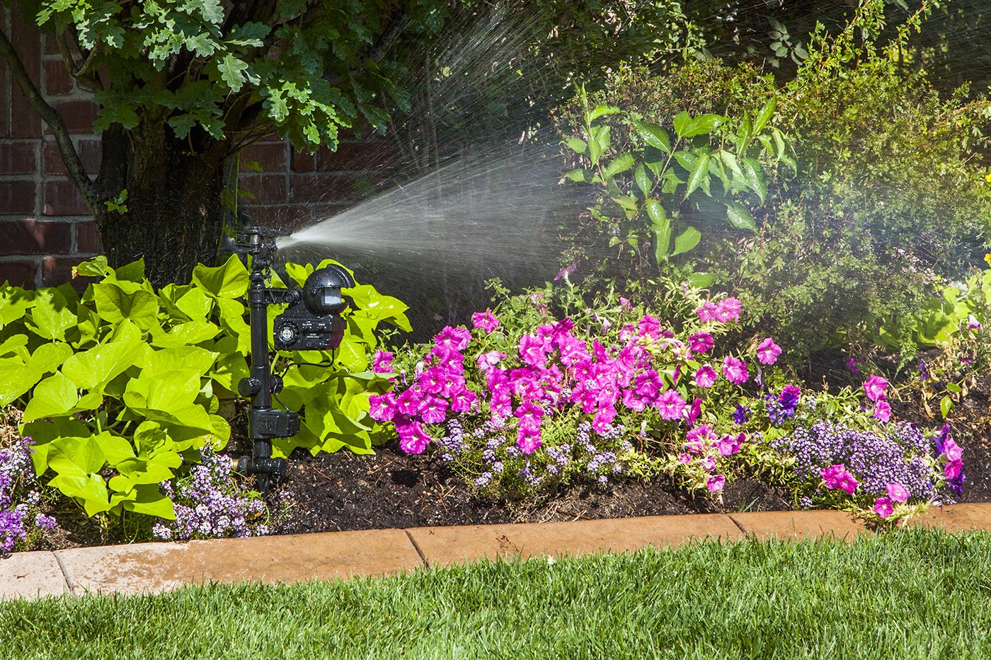 Orbit 62100 Yard Enforcer Motion-Activated Sprinkler - Image 4