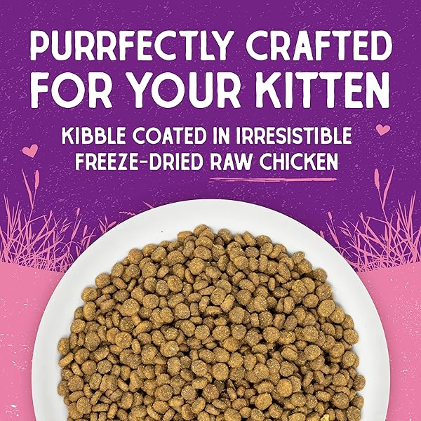 STELLA & CHEWY’S RAW COATED PREMIUM KIBBLE CAT & KITTEN FOOD – GRAIN FREE, PROTEIN RICH MEALS – CAGE-FREE CHICKEN FOR KITTENS RECIPE – 2.5 LB. BAG