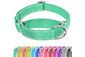 Seyezo Martingale Dog Collar - Adjustable No Pull Collar with Reflective Nylon, No Buckle, for Small to Large Dogs, S, Turquoise