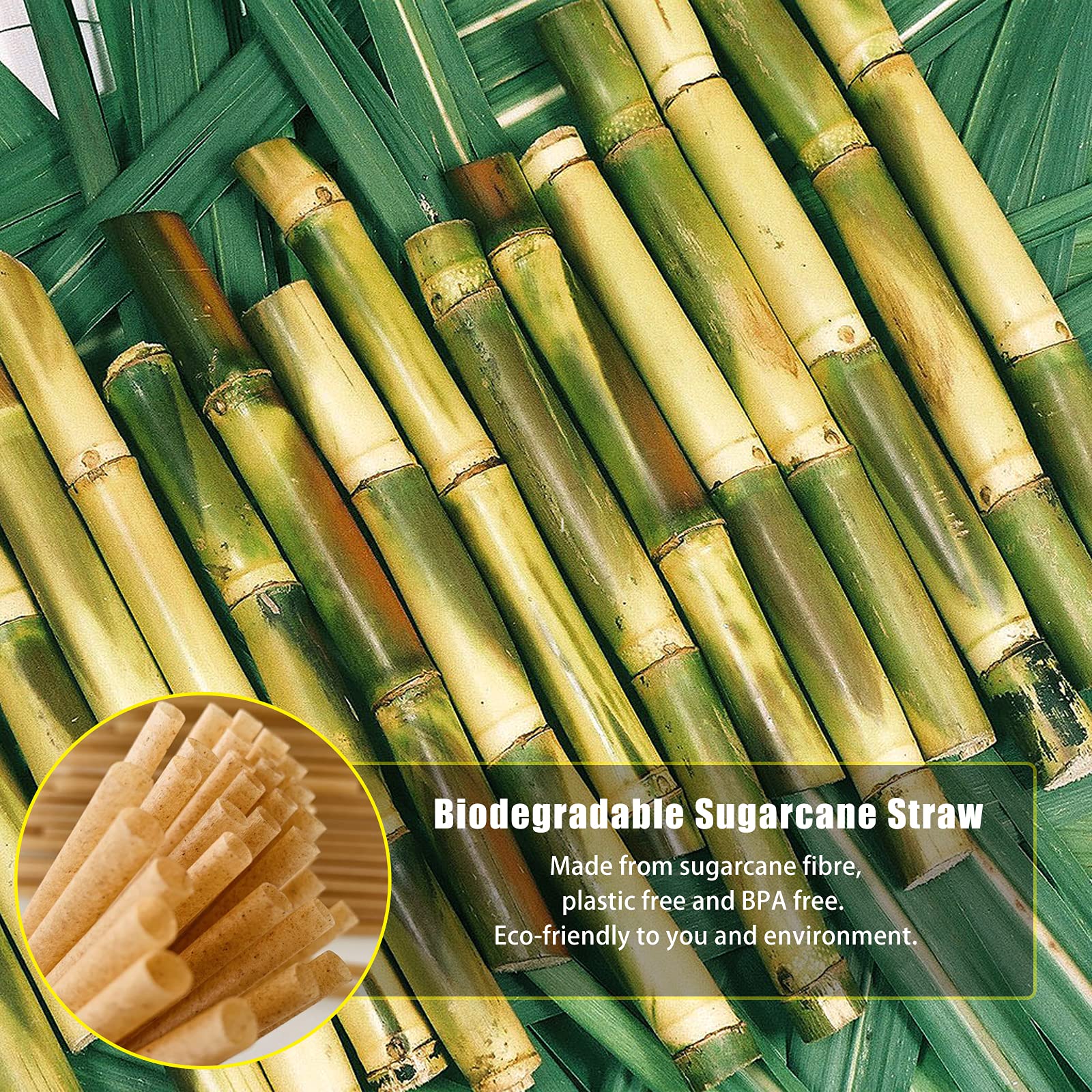Biodegradable Sugarcane Straws