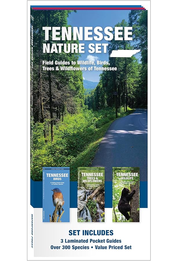 Tennessee Trees & Wildflowers (Nature Observation North America