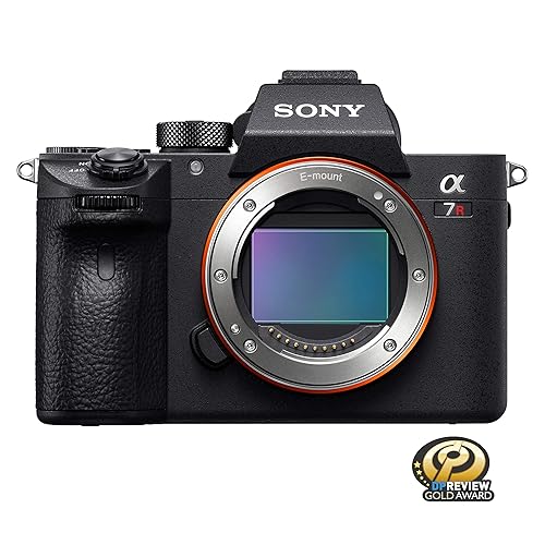 Best Mirrorless Cameras