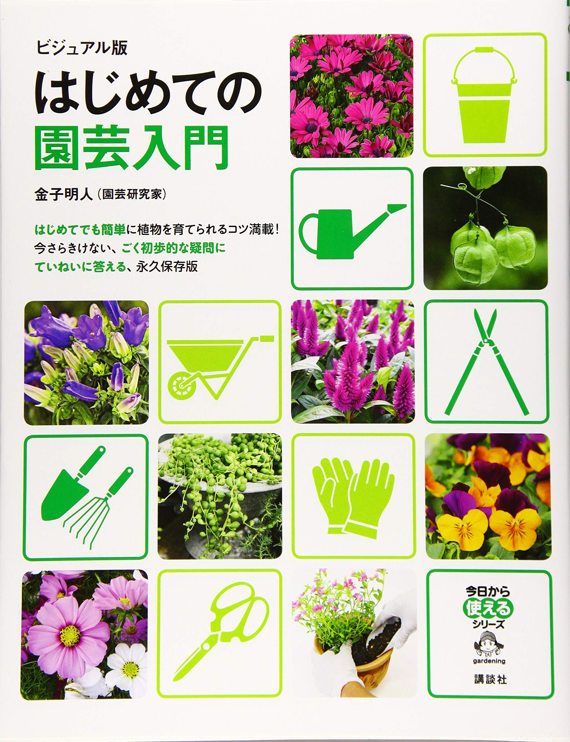 ビジュアル版 はじめての園芸入門 今日から使えるシリーズ 実用 金子 明人 本 通販 Amazon ビジュアル版 はじめての園芸入門 今日から使えるシリーズ 実用 金子 明人 本 通販 Amazon