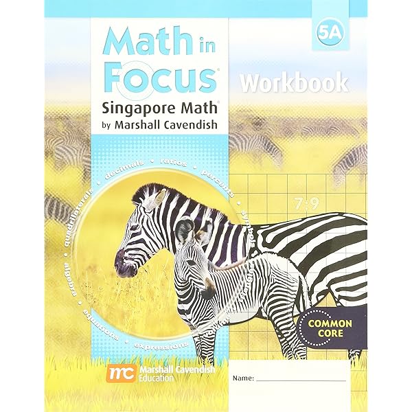 Math in Focus Workbook, Book B Grade 5: Houghton Mifflin Harcourt