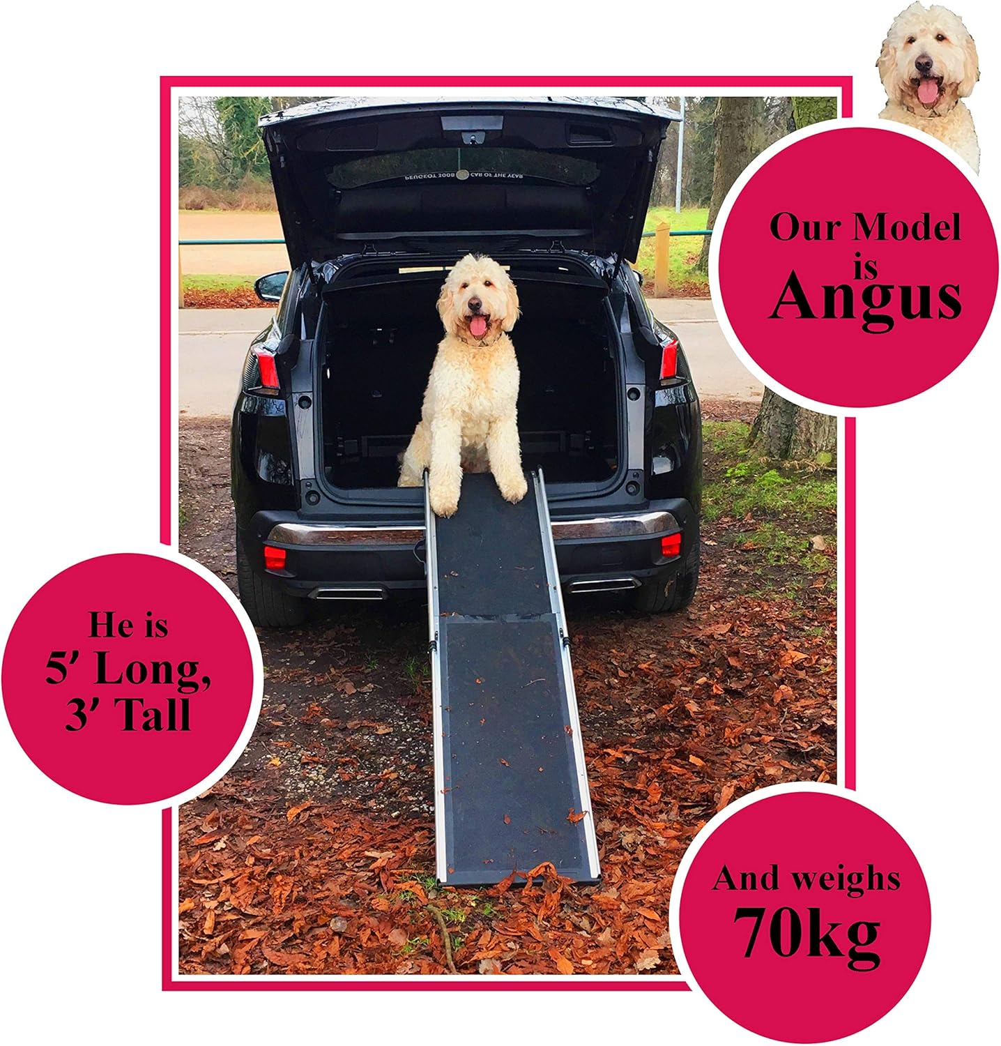 Hewitt And Blue Large Dog Car Ramp, Heavy Duty - Image 3