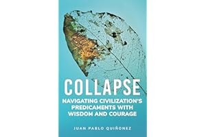 Collapse: Navigating Civilization's Predicaments With Wisdom and Courage