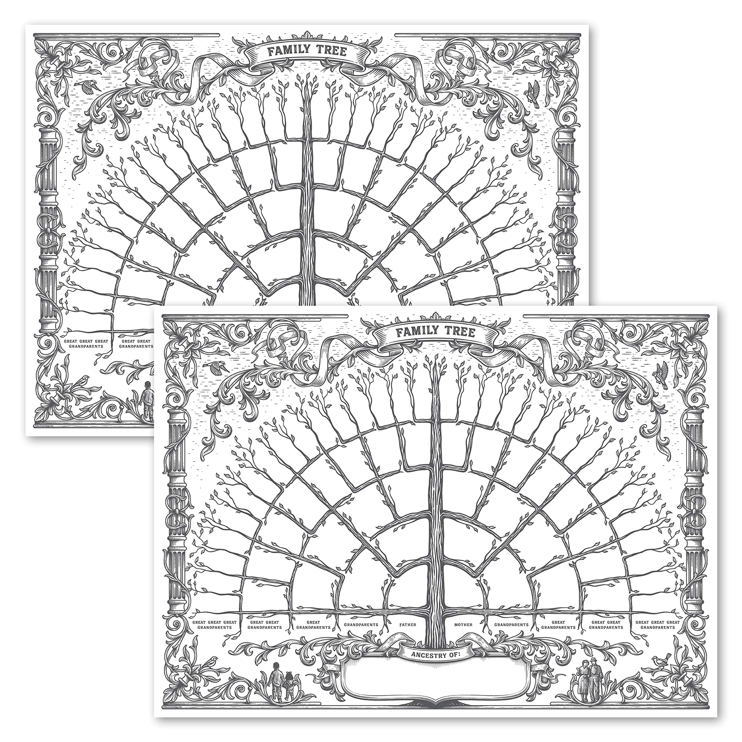 Palace Learning 2 Pack Family Tree Chart - 6 Generation Genealogy Poster (18" x 24")