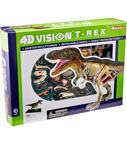 thumbnail image 2 of 4D Vision Animal Rat (Full Skeleton 2 of 11