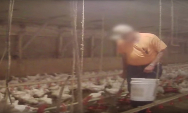 Thelatinkitchen - //medicalbooks.filipinodoctors.org