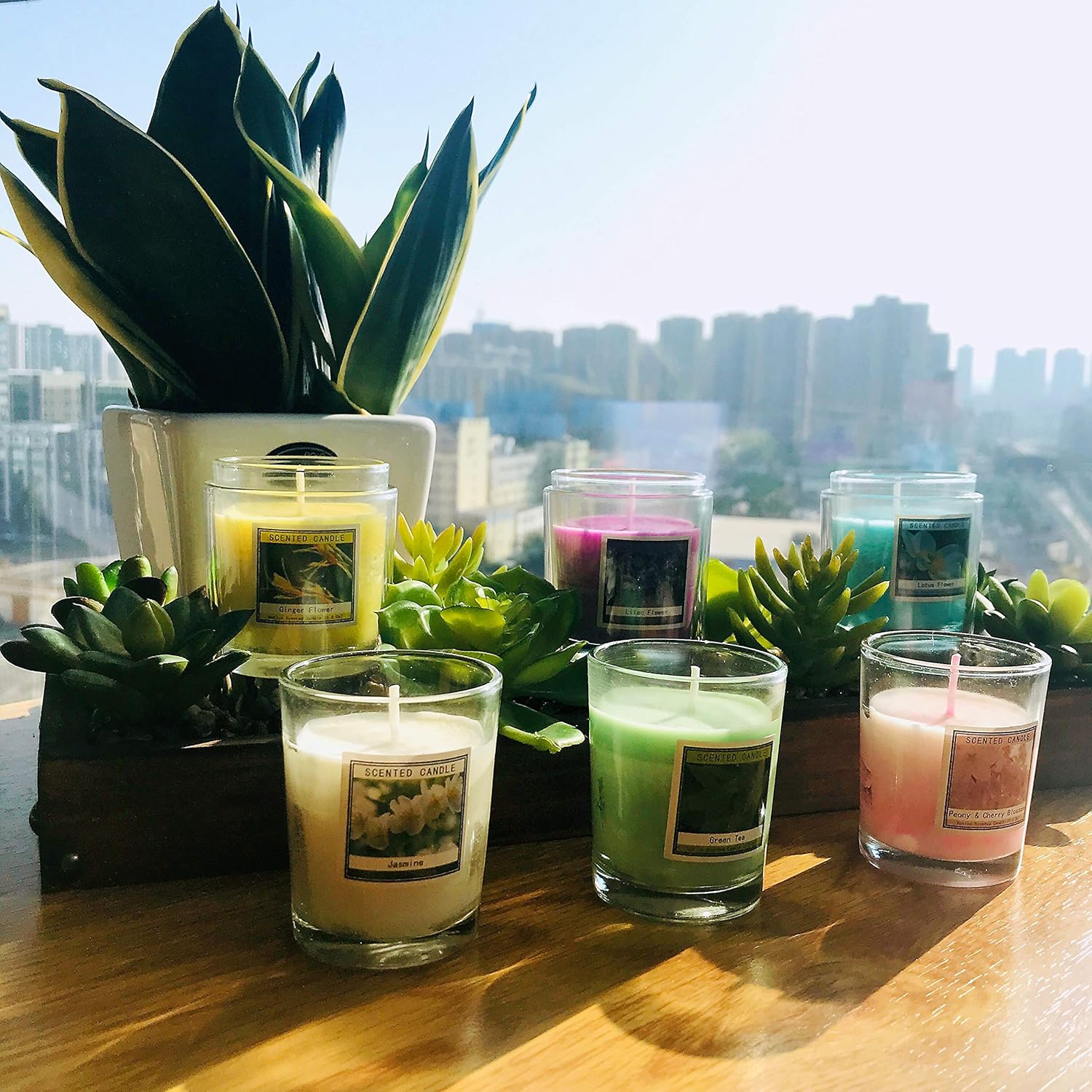Set of 12 Scented Candles with 6 Fragrances, Natural Soy Wax Votive Candles for Party Dinner Yoga and Thanksgiving : Beauty