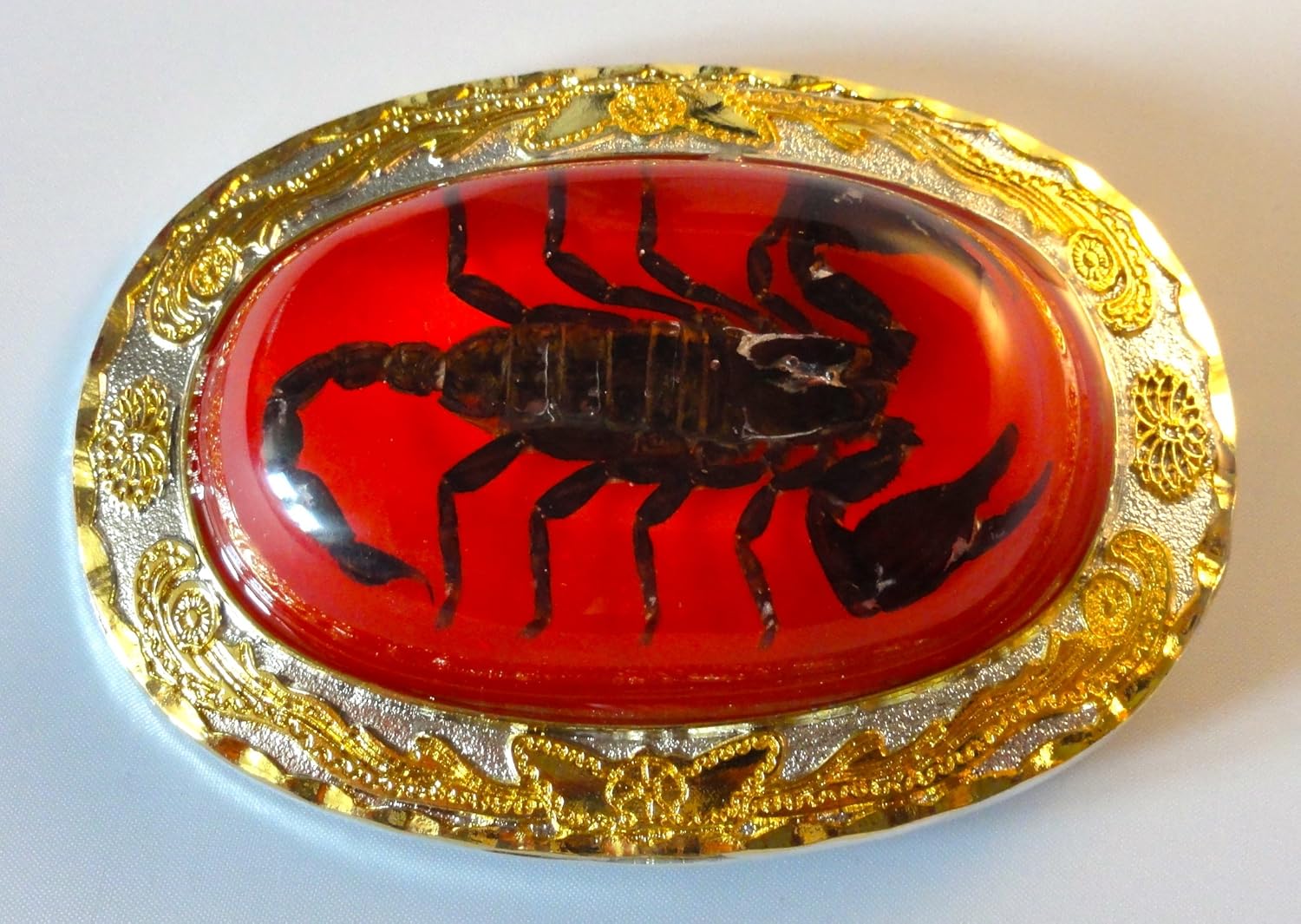 scorpion belt buckle