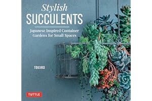 Stylish Succulents: Japanese Inspired Container Gardens for Small Spaces