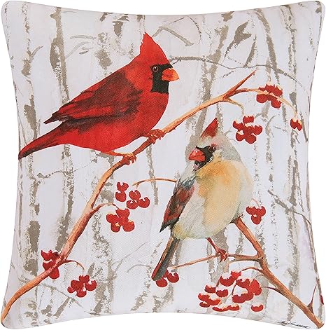 Amazon Com C F Home 18x18 Inch Indoor Outdoor Canvas Pillow Cardinals 18 X 18 Multi Home Kitchen
