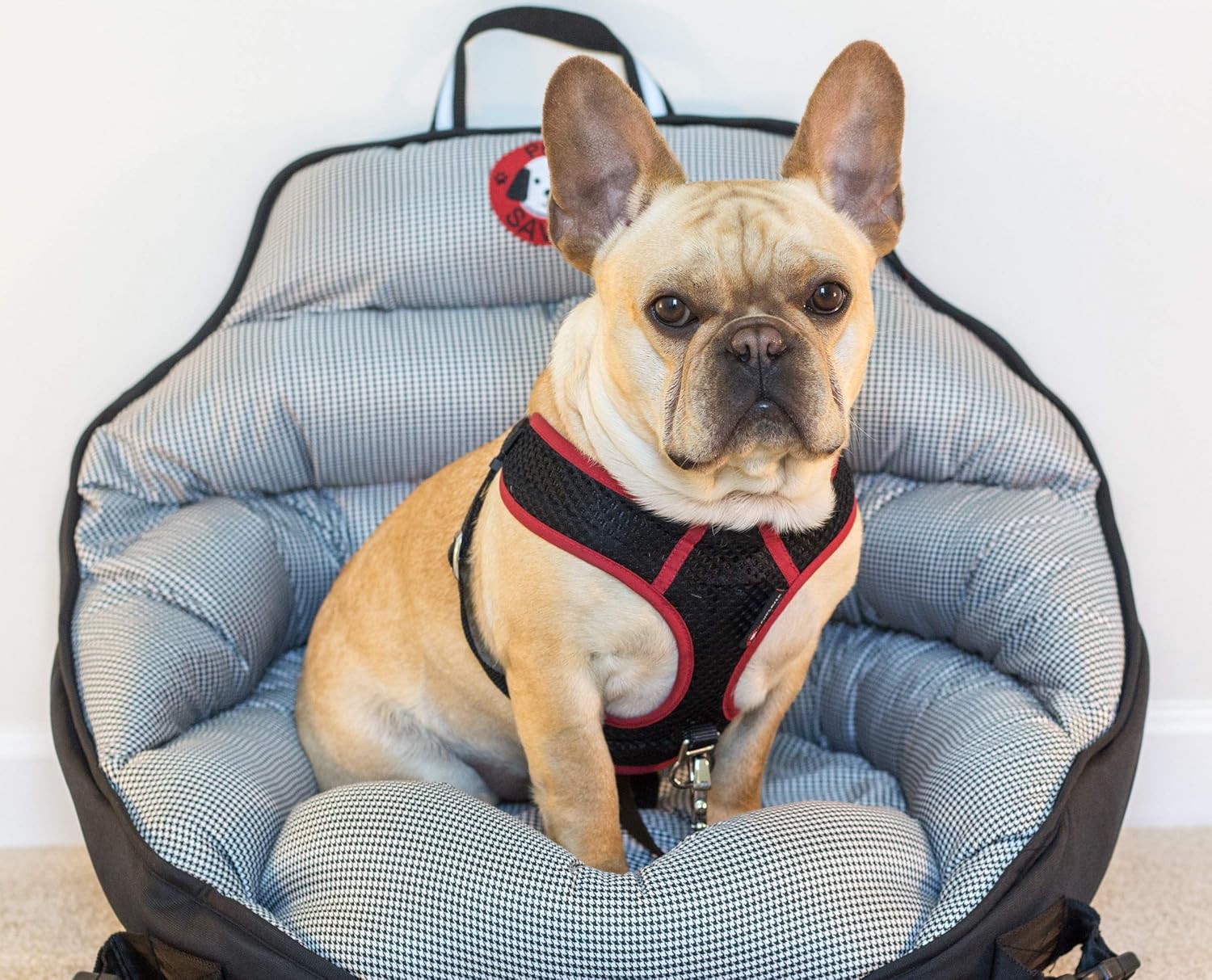 dog car harness crash tested