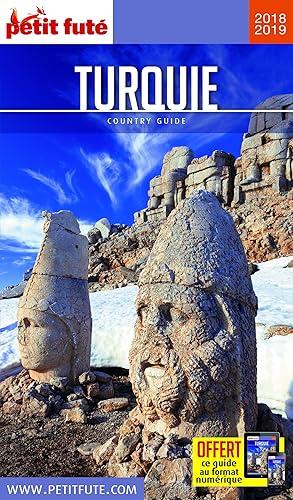 Download Petit Futé Turquie PDF