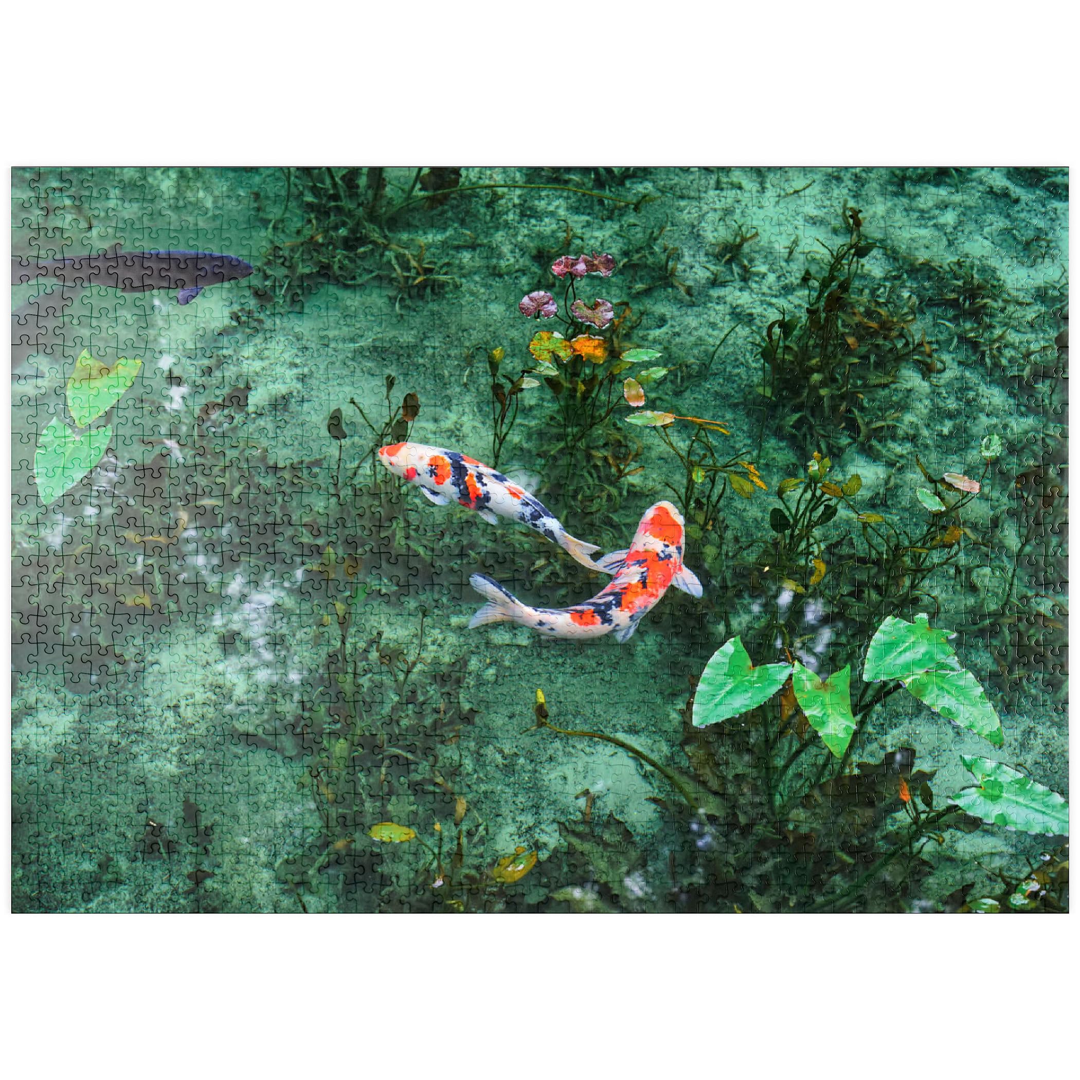 Monet's Koi Pond In Seki City, Gifu Prefecture, Japan - Premium 1000 pieces Puzzle - MyPuzzle special collection from Puzzle Galaxy
