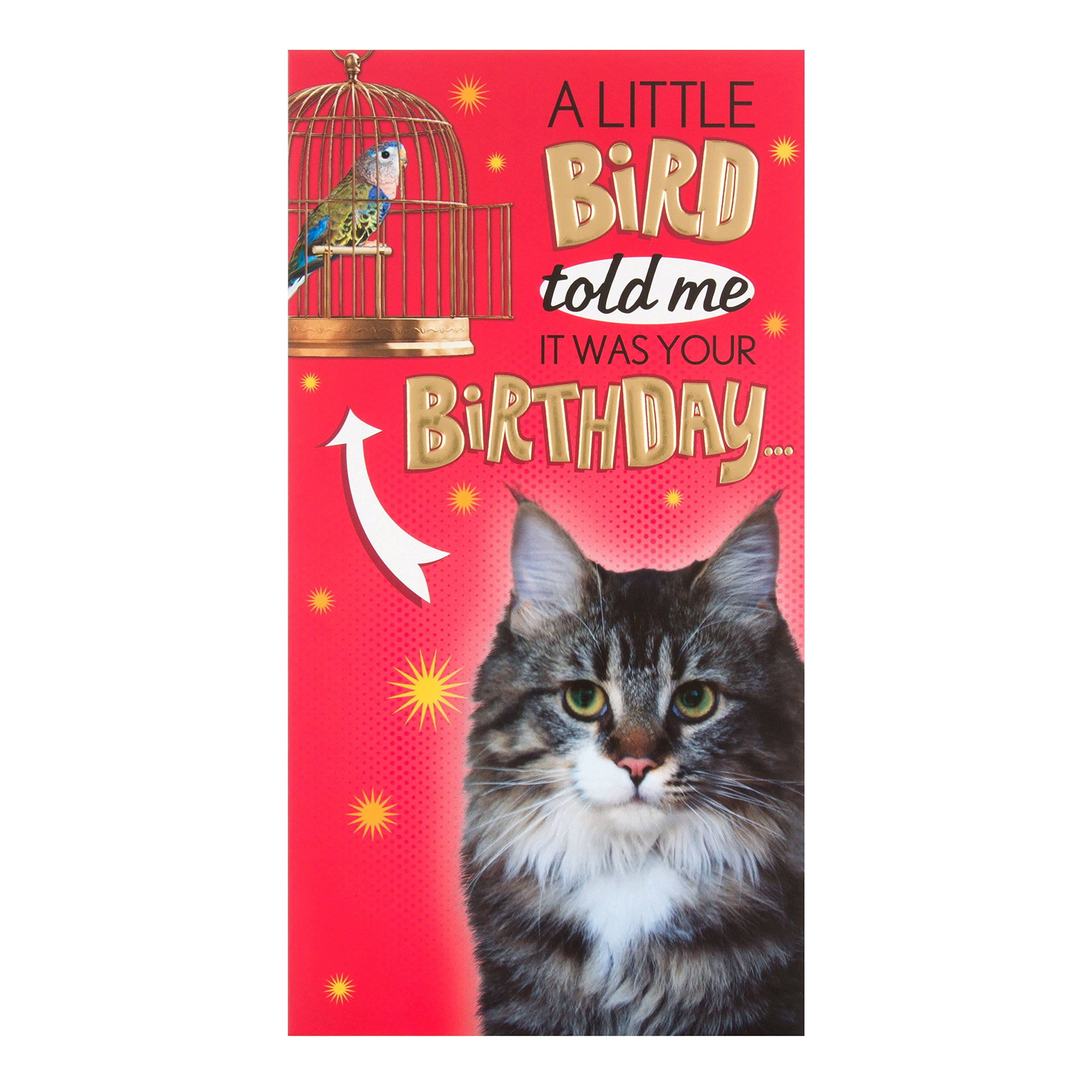 Hallmark Birthday Card "Pop Up" - Medium