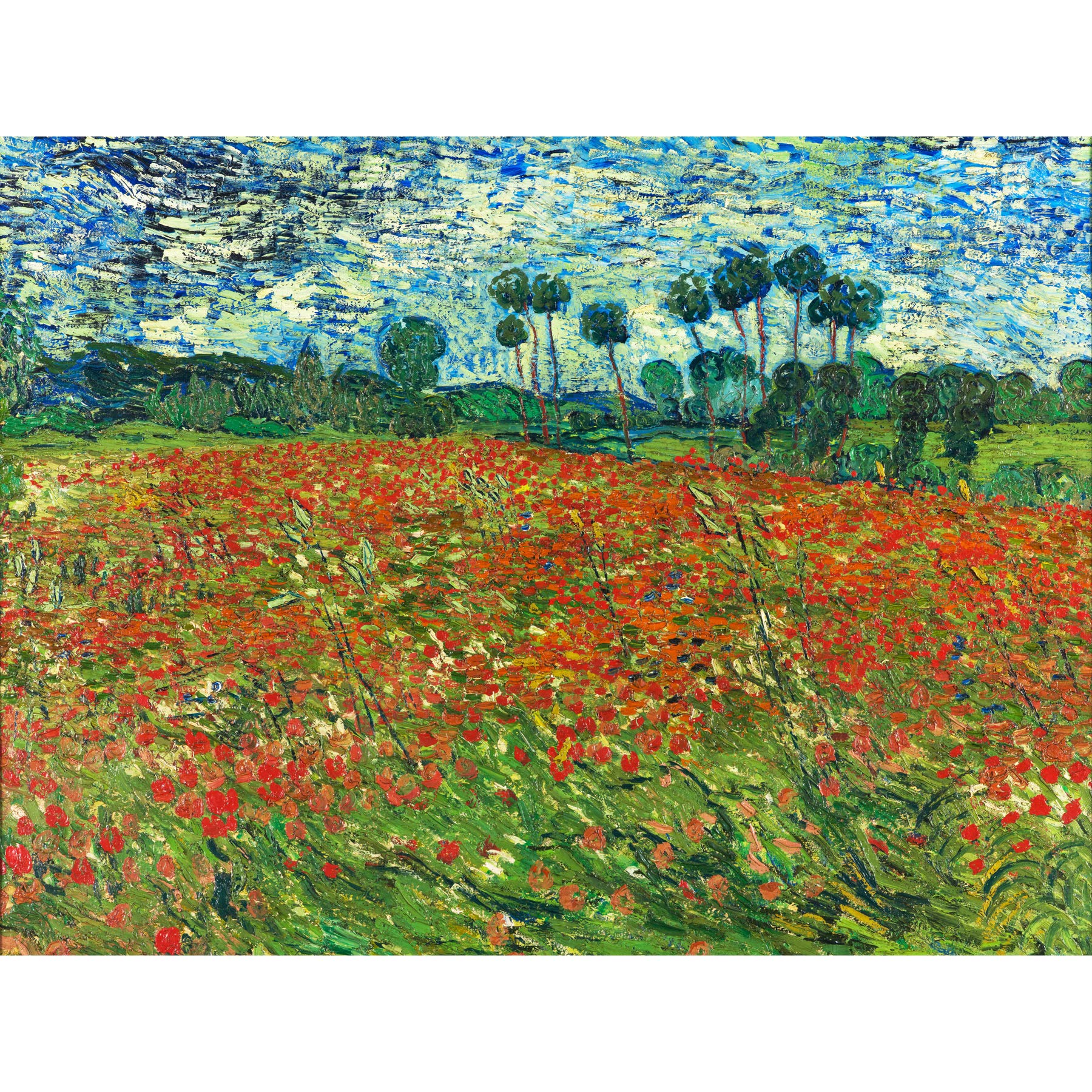 Vincent Van Gogh Poppy Field Large Wall Art Print Canvas Premium Poster Mural
