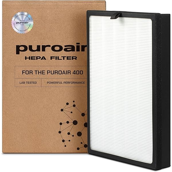 PUREBURG Filtros HEPA De Repuesto Compatibles Con COSTWAY IGYLAR Domie 4 En 1 Purificadores De Aire Ionico Compuesto Carbon Activado Por Filtracion