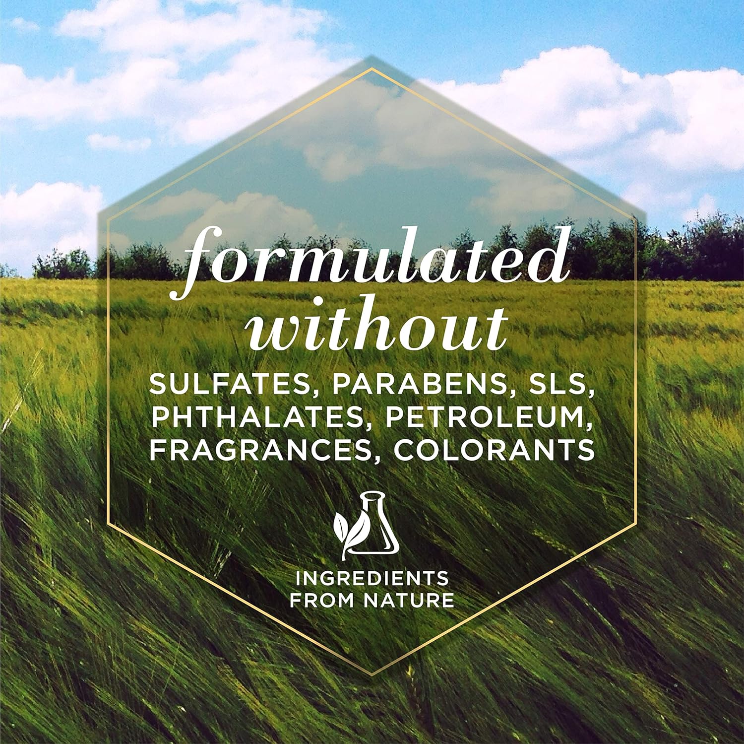 Burt's Bees For Dogs Multipurpose Grooming Wipes | Puppy and Dog Wipes For Cleaning, 50 Count, FF7488