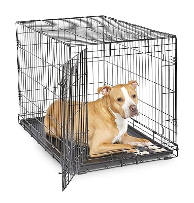 MidWest Homes for Pets 36-Inch iCrate for Medium-Large Breeds, 41-70 lbs, Single Door Folding Dog Crate with Divider Panel, Leak-Proof Tray & Secure Latches, Portable, Durable & Easy to Assemble