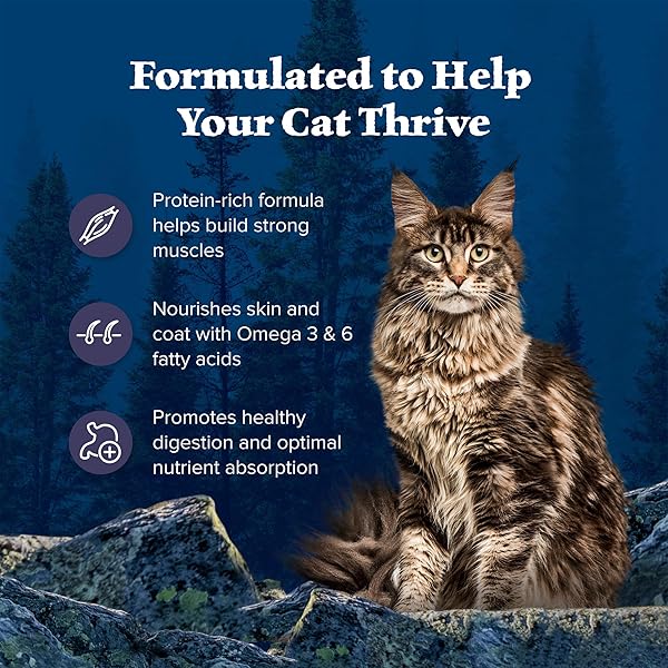 BLUE BUFFALO WILDERNESS NATURAL ADULT DRY CAT FOOD, HIGH-PROTEIN AND GRAIN-FREE DIET, SUPPORTS HEALTHY MUSCLE DEVELOPMENT AND A HEALTHY IMMUNE SYSTEM, CHICKEN, 12-LB. BAG