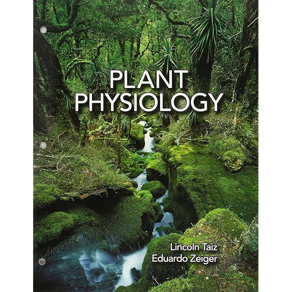 Plant Physiology and Development 第6版 Plant Physiology and Development, Sixth Edition 6th edition
