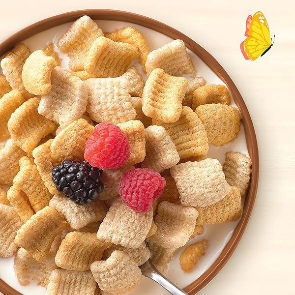 CASCADIAN FARM ORGANIC GLUTEN FREE HONEY VANILLA CRUNCH CEREAL, 10.5 OZ.