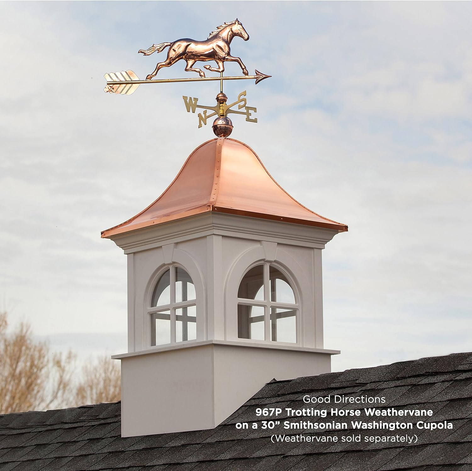 Amazon Com Good Directions Smithsonian Washington Vinyl Cupola