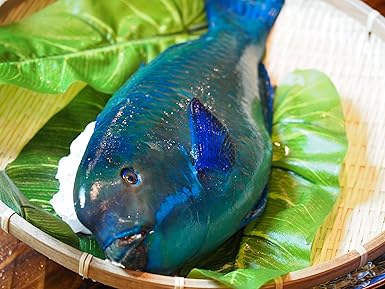 Amazon 沖縄県産 ゲンナーイラブチャー ナンヨウブダイ 1 1 5kg 沖縄鮮魚えびす丸 鮮魚 通販 Amazon 沖縄県産 ゲンナーイラブチャー ナンヨウブダイ 1 1 5kg 沖縄鮮魚えびす丸 鮮魚 通販