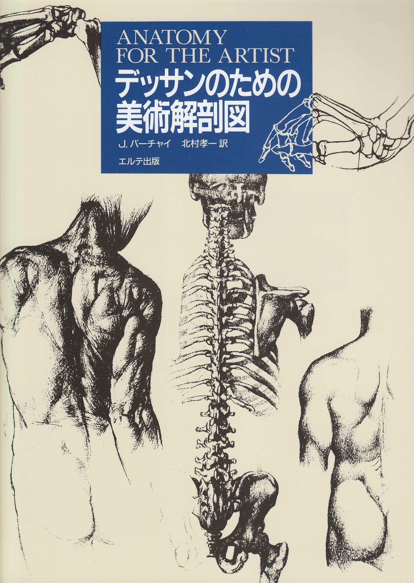 デッサンのための美術解剖図 イエヌ バーチャイ Barcsay Jeno 孝一 北村 本 通販 Amazon