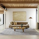 Rugs USA Gaia Grey, 3' x 5', Handmade, Solid, Shag, New Zealand Wool, Soft and Cozy, High Traffic, Stain Resistant, Easy Clea