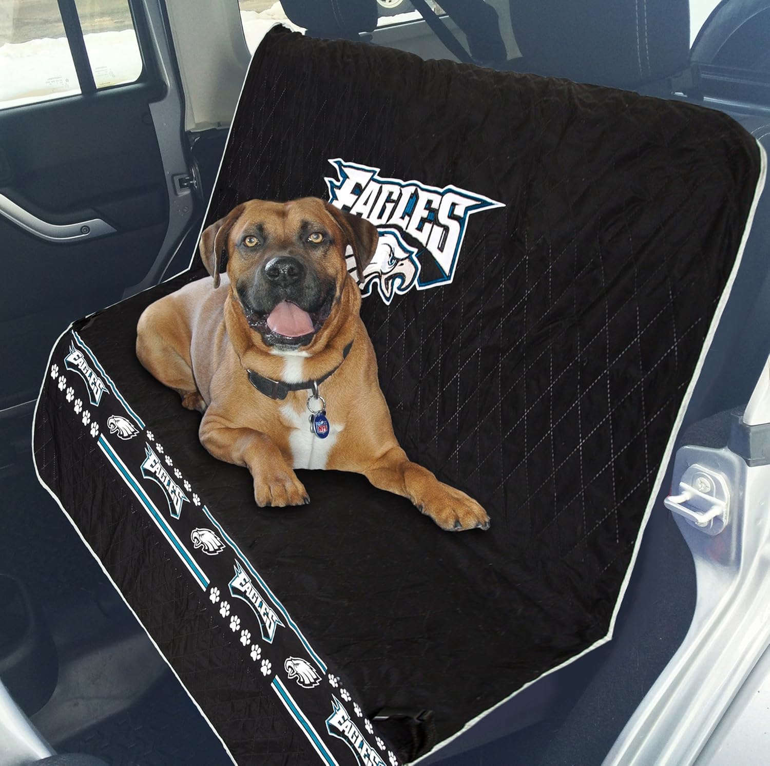 Best car seat covers eagles