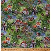 AwiaubCotton Woodland Animals Foxes Rabbits Squirrels Chipmunks Meadow Flowers Realistic North American Wildlife Nature Cotton Fabric Print by The Yard (D483.36)