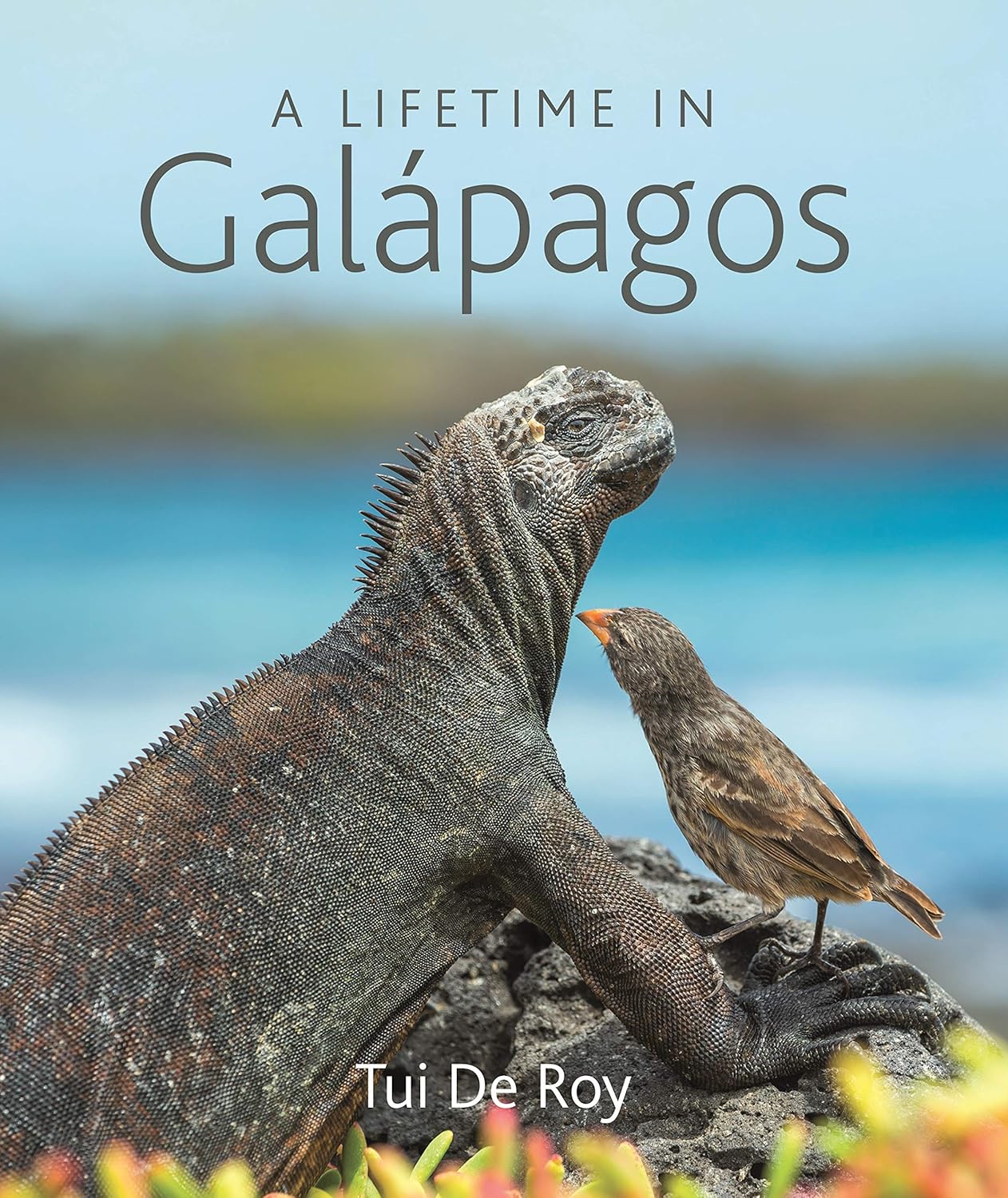 South America - A Lifetime in Galápagos