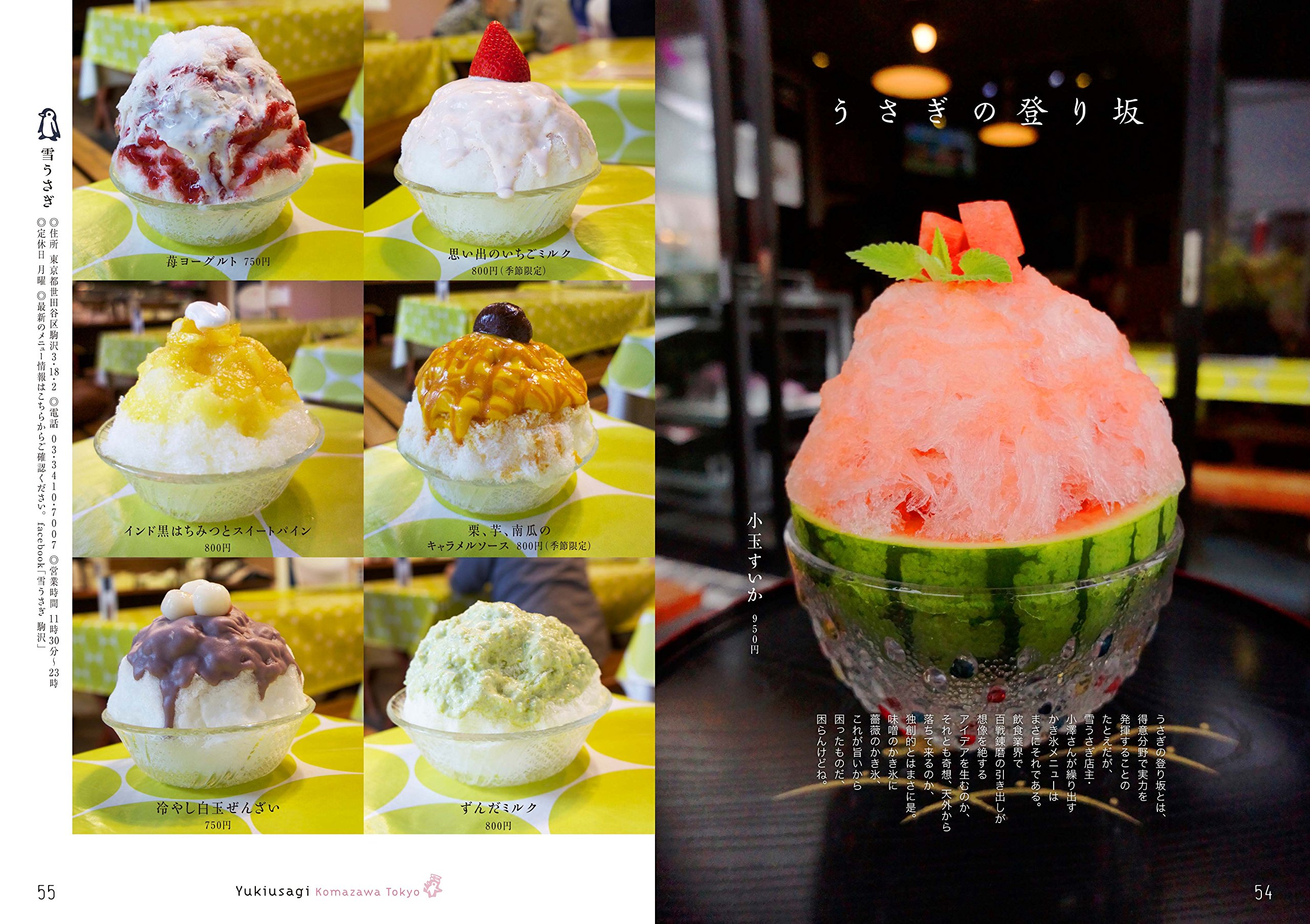 にっぽん氷の図鑑 かき氷ジャーニー ぴあmook 原田 泉 本 通販 Amazon