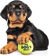 The Dog's Balls Small Yellow 6-Pack Dog Tennis Balls Non-Abrasive Felt view 3