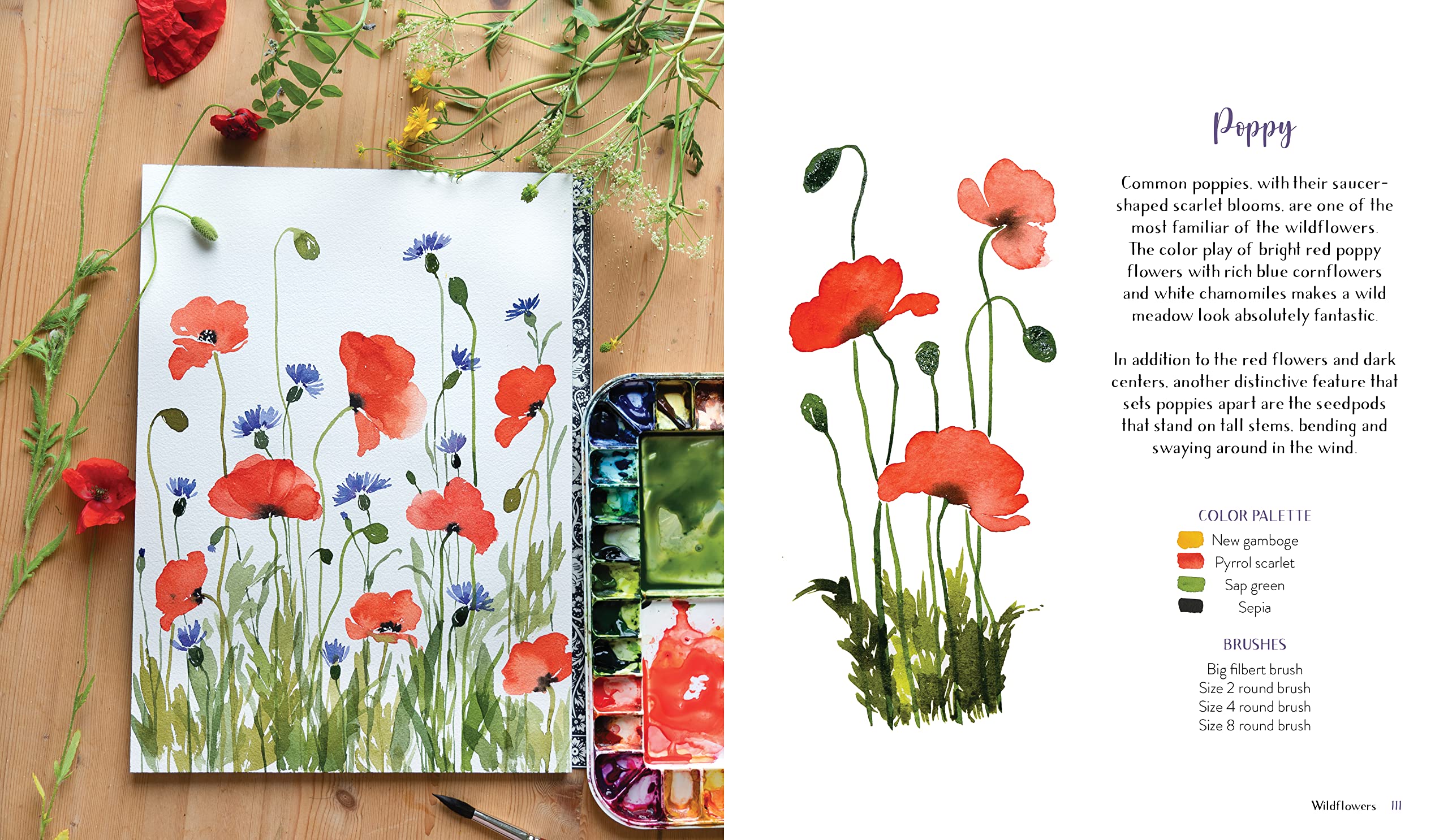 Wildflower Watercolor: The Beginner’s Guide to Painting Beautiful Florals Wildflower Watercolor: The Beginner’s Guide to Painting Beautiful Florals Paperback Kindle Spiral-bound
