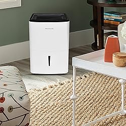 22 Pint Dehumidifier