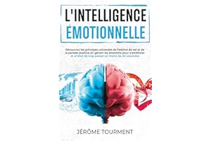 L'intelligence émotionnelle: Découvrez les principes universels de l'estime de soi et de la pensée positive en gérant les émo