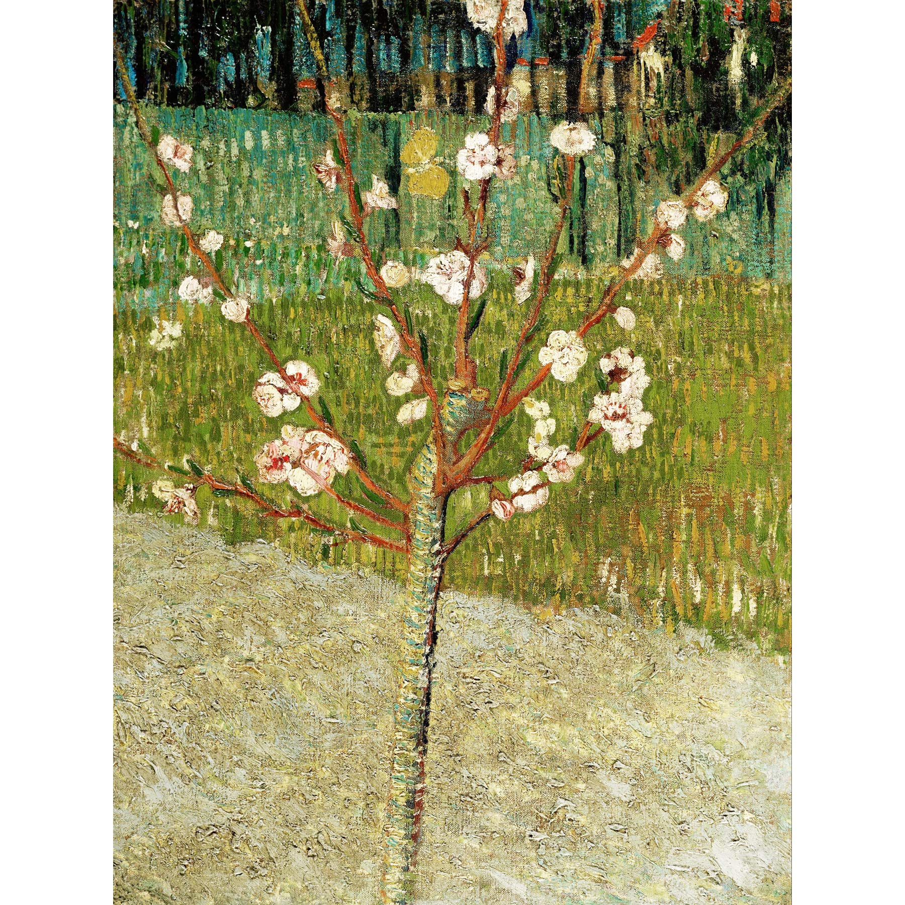 Vincent Van Gogh Almond Tree In Blossom Extra Large Wall Art Print Premium Canvas Mural
