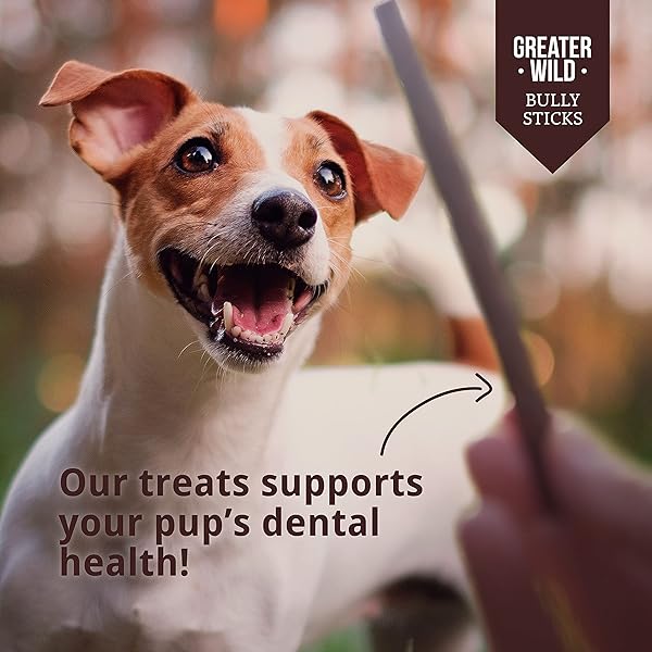 GREATER WILD 6 INCH BULLY STICKS DOG TREATS, 15 PACK, STANDARD THICKNESS – SINGLE INGREDIENT 100% ALL NATURAL BEEF, LONG LASTING DOG CHEWS