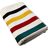 Amazon.com: Pendleton Glacier National Park Queen Blanket ...