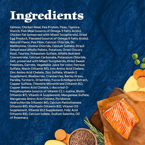 BLUE BUFFALO WILDERNESS GRAIN FREE NATURAL HIGH PROTEIN SALMON ADULT DRY CAT FOOD, 4 LBS.