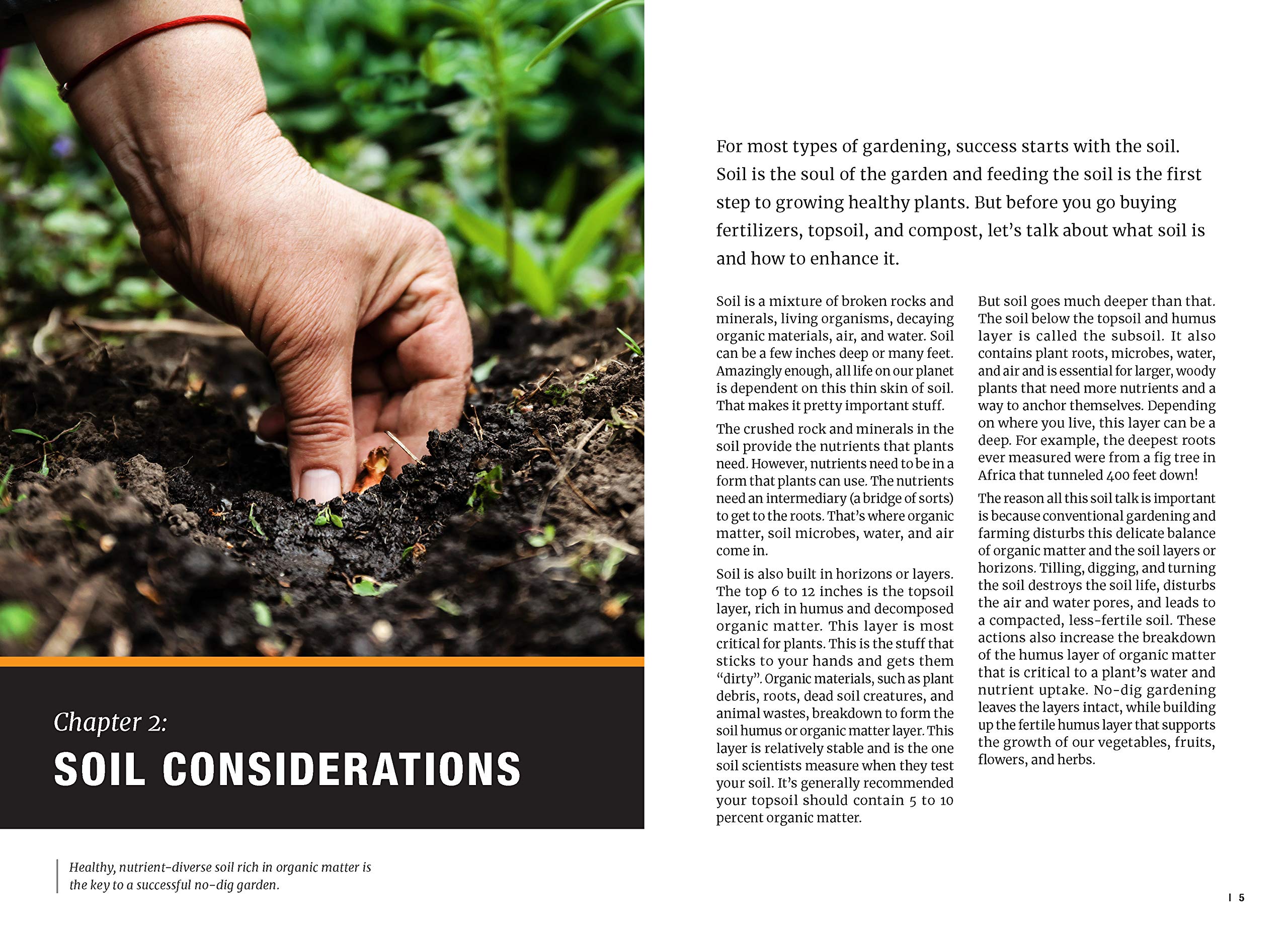 The Complete Guide to No-Dig Gardening: Grow beautiful vegetables, herbs, and flowers - the easy way! Layer Your Way to Healthy Soil-Eliminate tilling ... garden naturally-Reduce weeding and watering
