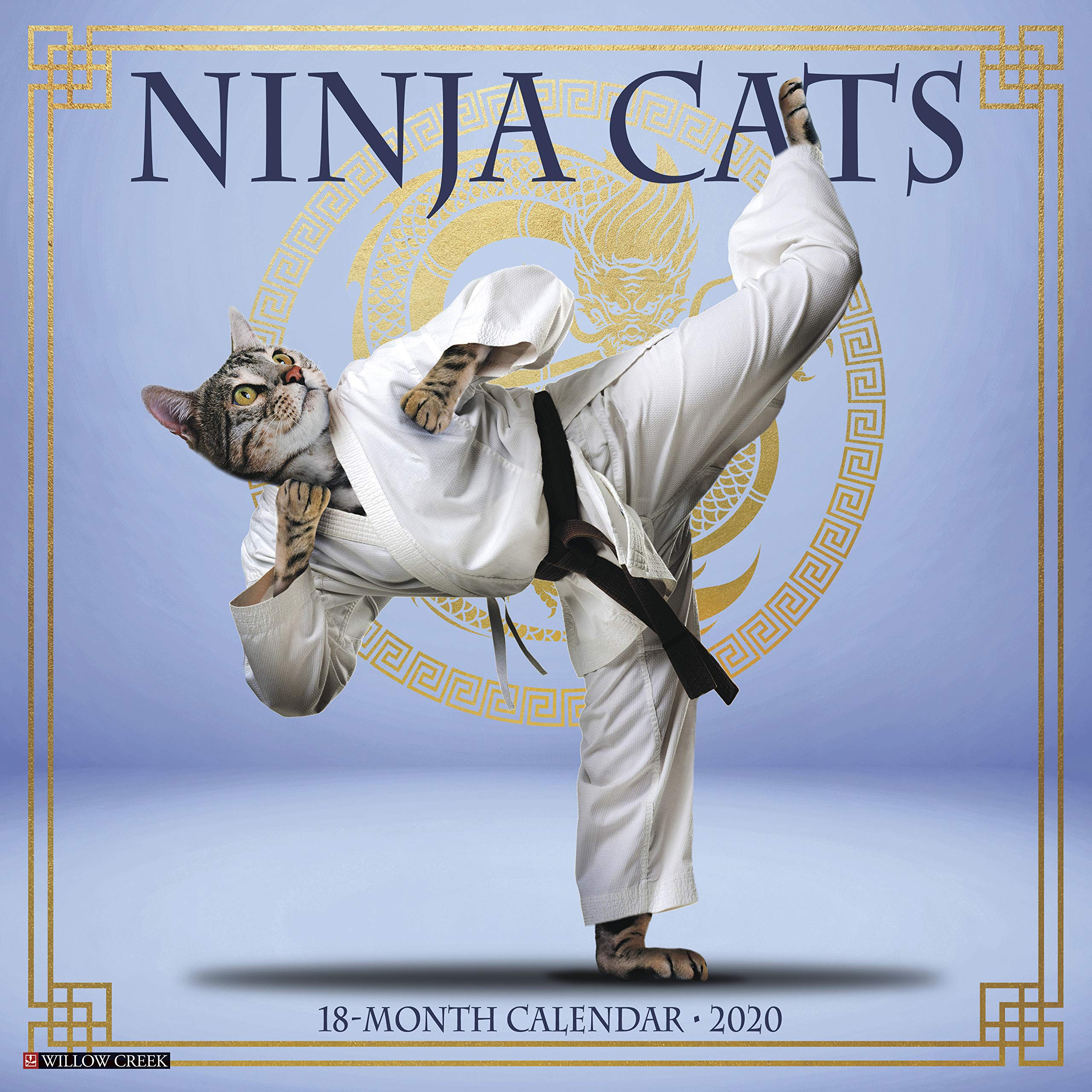 Amazon.com: Ninja Cats 2020 Wall Calendar (9781549207280 ...