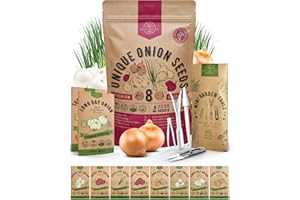 Organo Republic 8 Onion Seeds Variety Pack Heirloom, Non-GMO, Sets for Indoors, Outdoors Gardening. 2200+ Seeds: Walla Walla, Green Onion, Red Burgundy, White & Yellow Sweet Spanish Onions