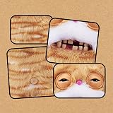 Fuggler Alley Cats 9-Inch Plush Toy Stinkface by ZURU view 5