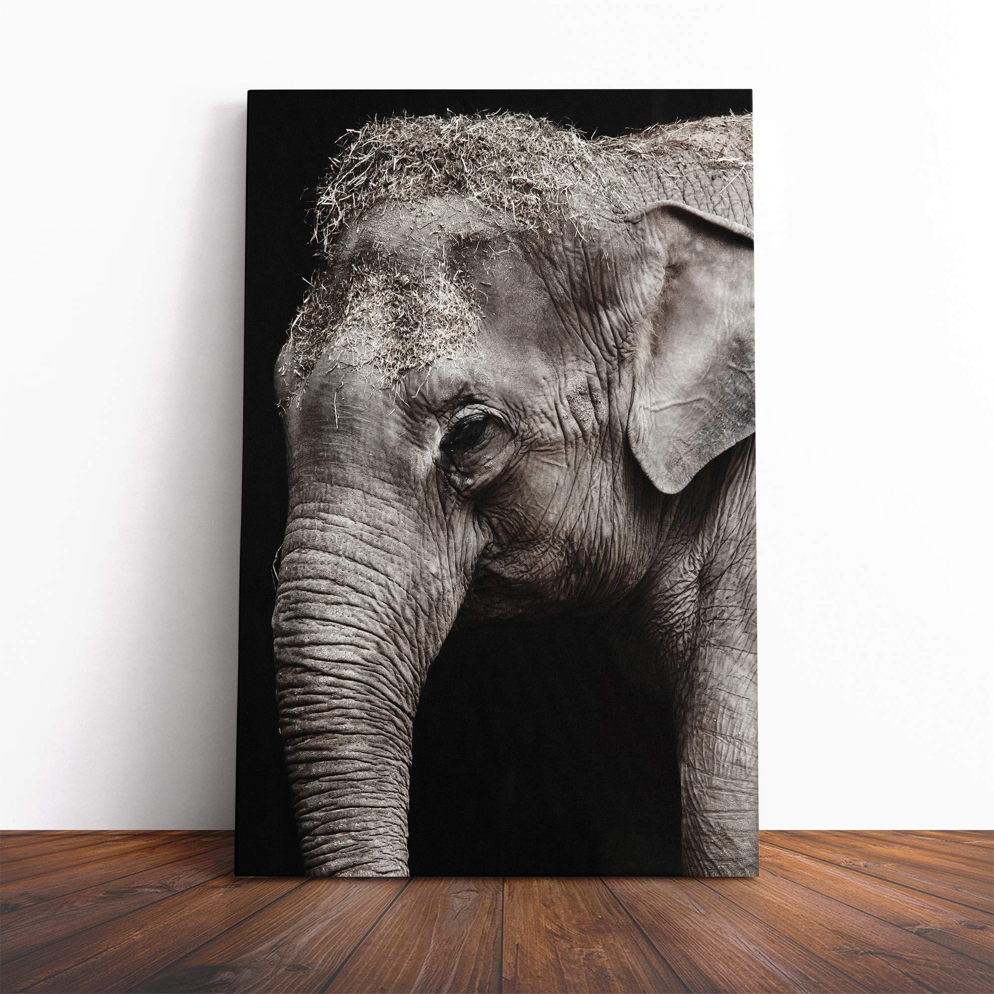 Elephant (5) Canvas Print | Gallery Wrapped 30mm Frame Wall Art | 20x14 inches | Ready to Hang | Modern Animals Picture | Living Room Bedroom Lounge Office